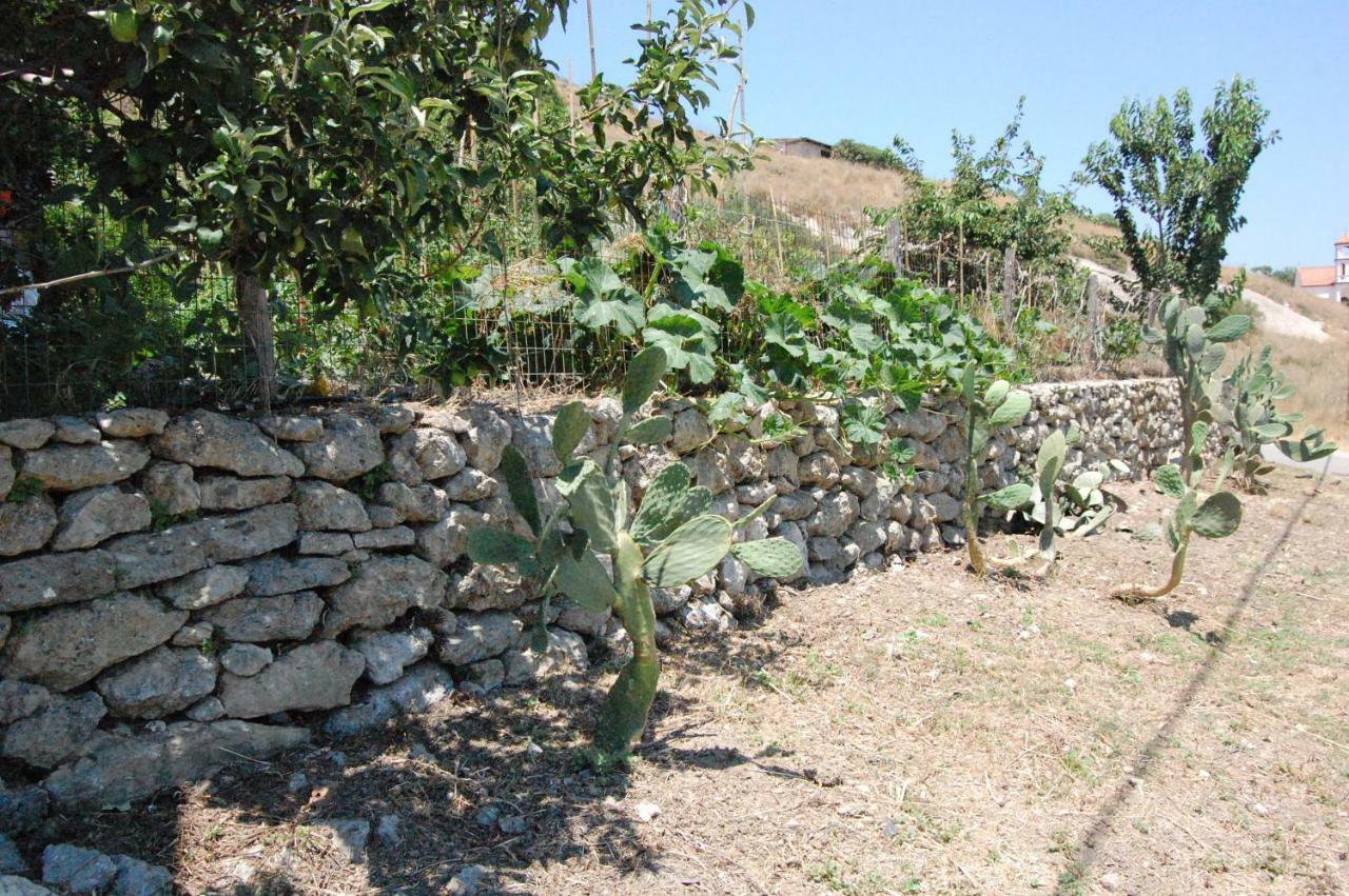 Old Winery House Kolymbari Exterior foto