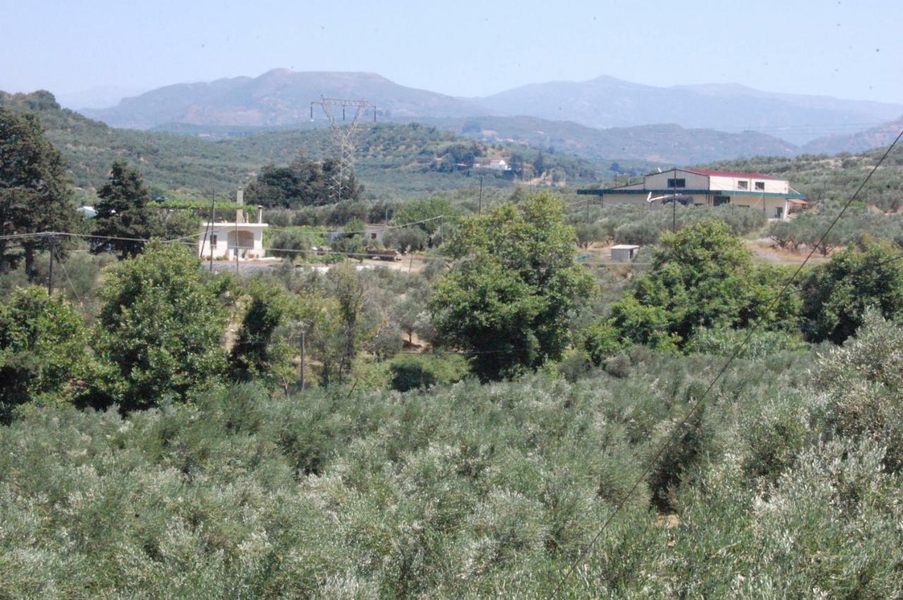 Old Winery House Kolymbari Exterior foto